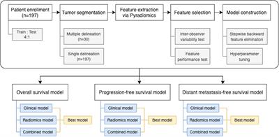 Tumor Prognostic Prediction of Nasopharyngeal Carcinoma Using CT-Based Radiomics in Non-Chinese Patients